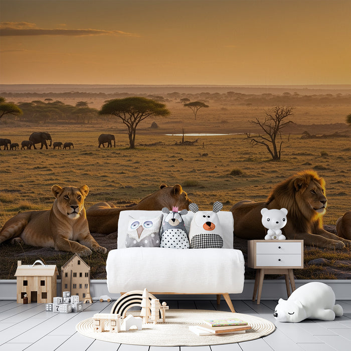 Gyermekszoba tapéta | Nagyra nőtt oroszlánok a naplementében a szavannában